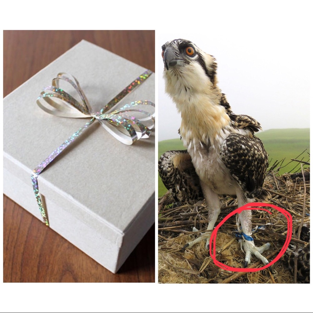 We are a green business. We recycle. We reduce.